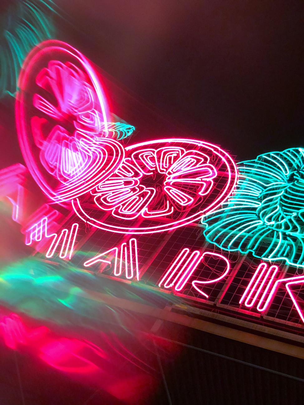 动漫工作细胞，生命与艺术交融之美探索