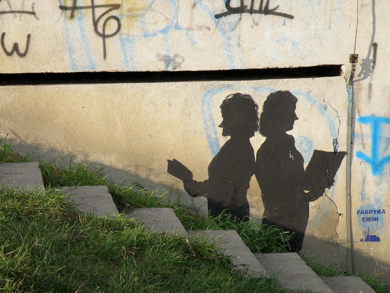 蔡李佛拳演员，传承与演绎的力量闪耀武林