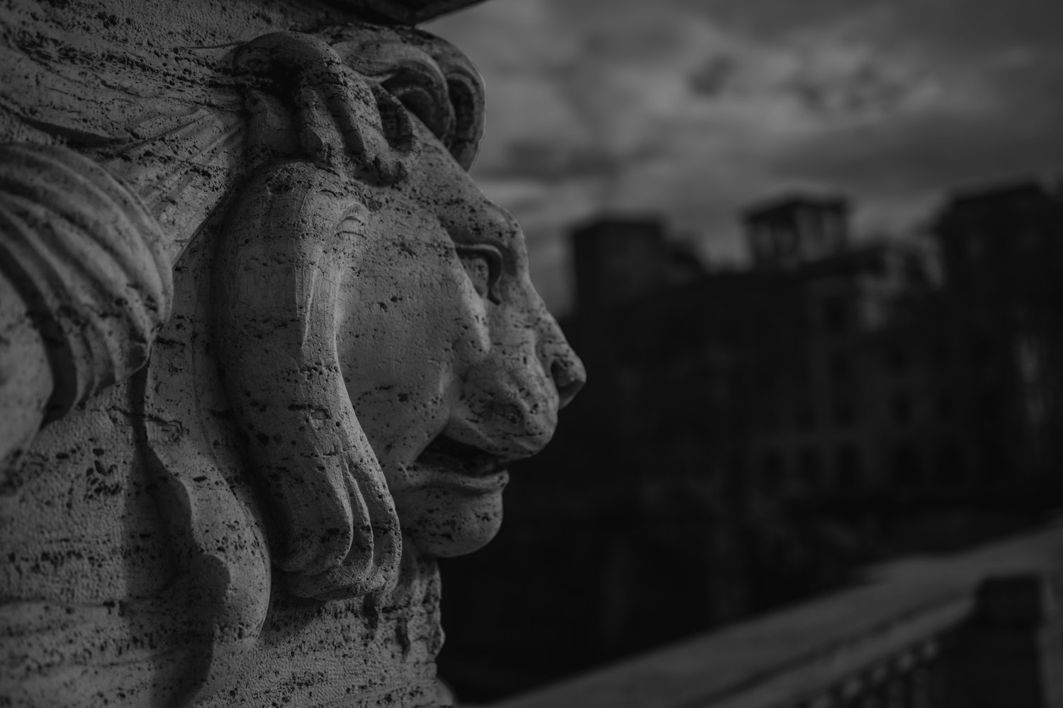 撸电影，独特观影体验之旅