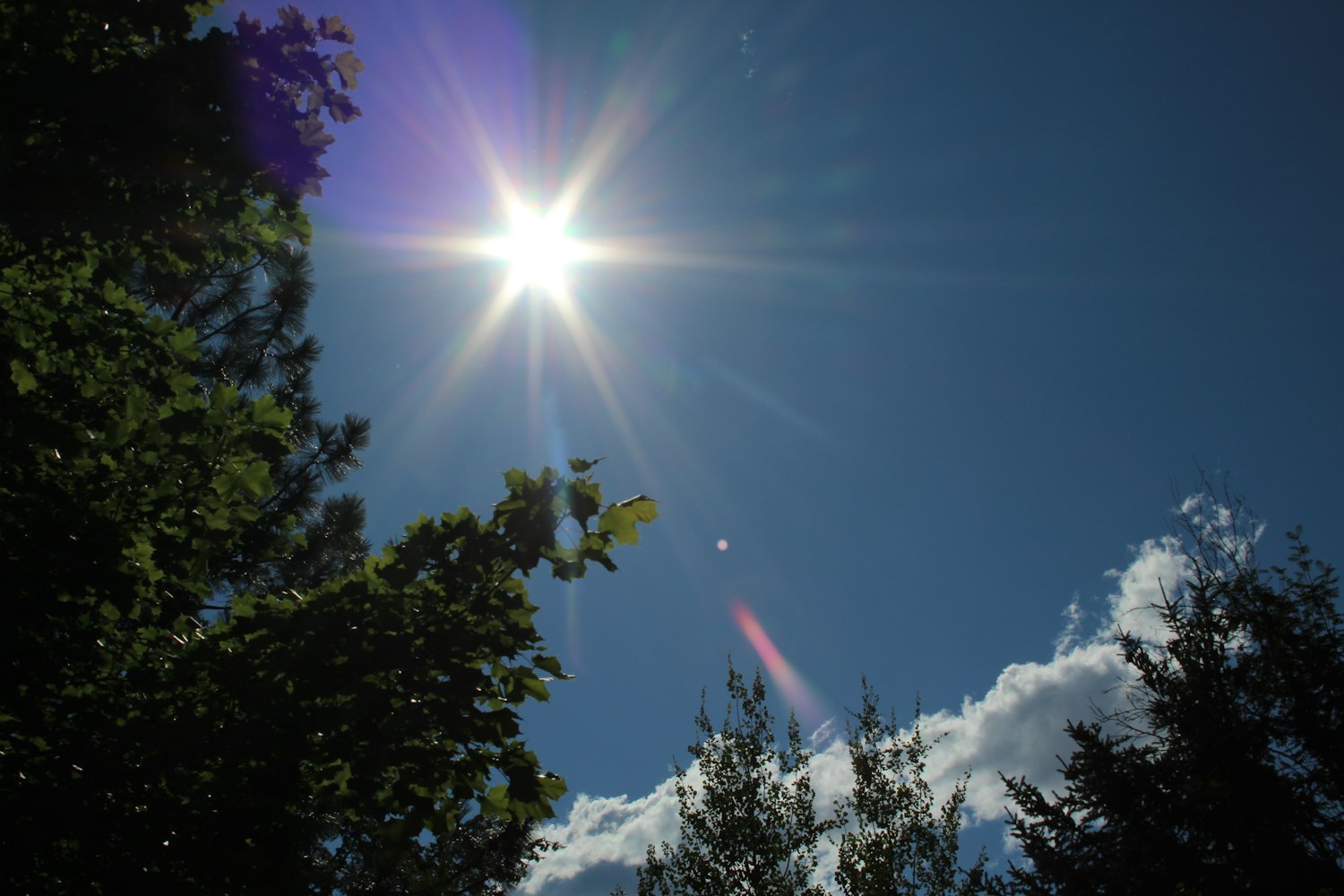 动漫高清竖屏壁纸世界探索