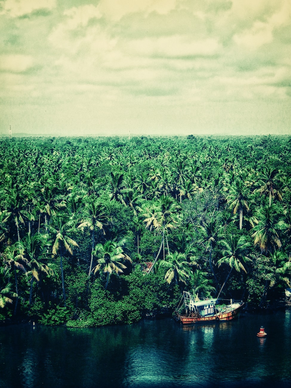 印度最新动态与发展趋势揭秘