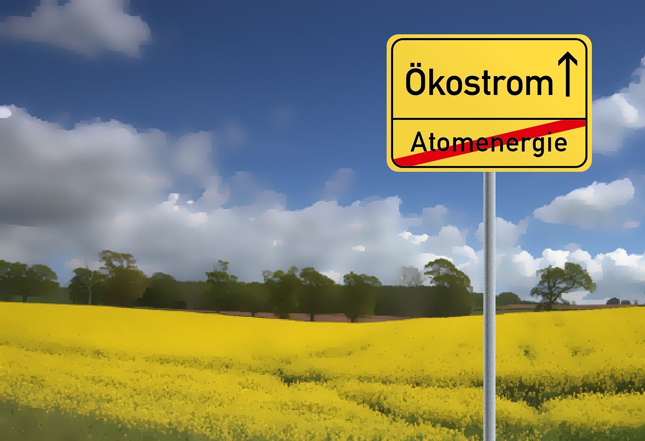 2025年11月 第5页