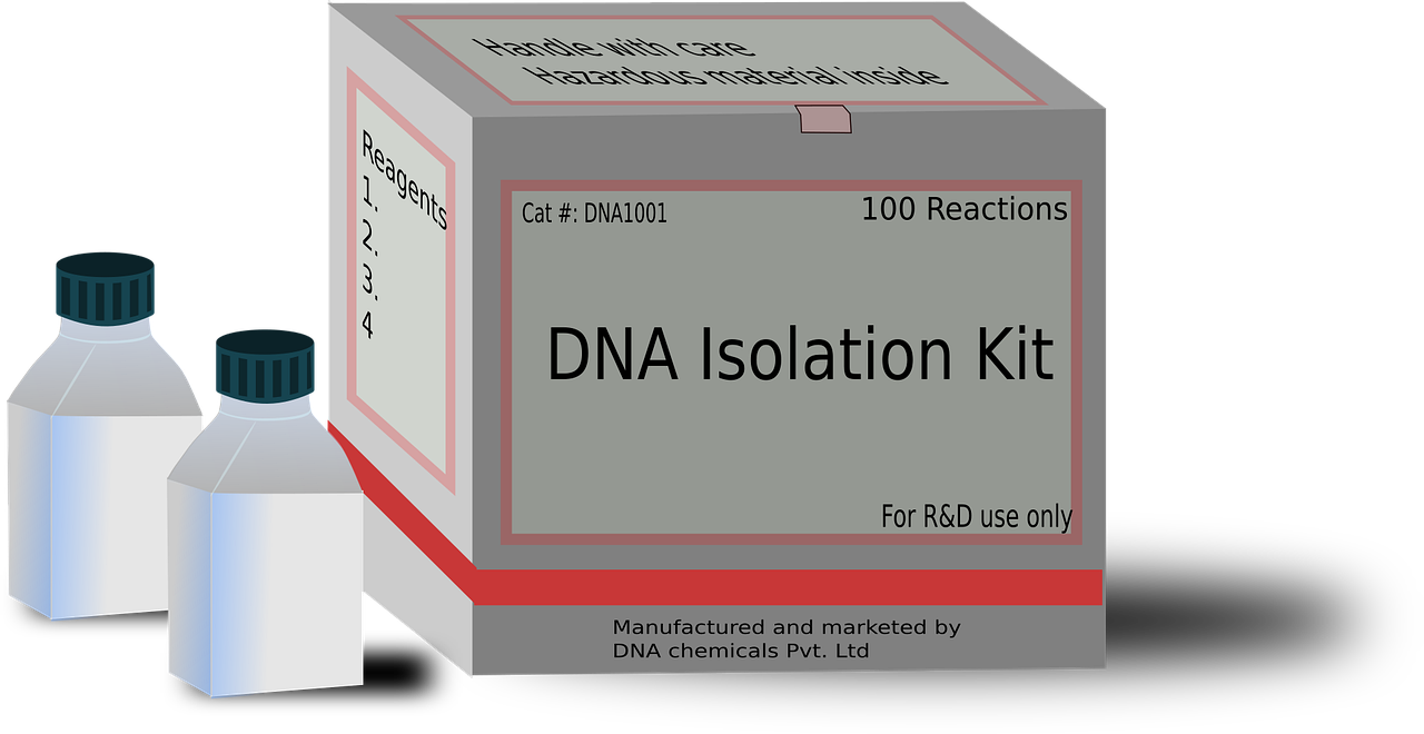 全国隔离政策最新动态，动态调整与科学防控并重