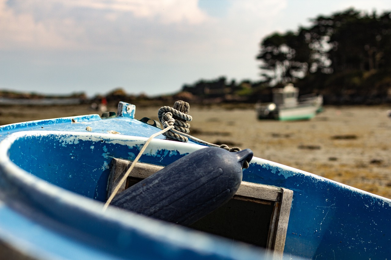 潍坊疫情最新进展更新，疫情动态与防控措施同步推进