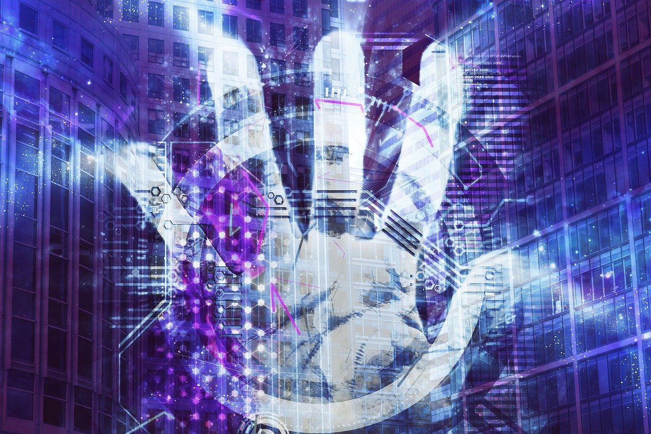 数字时代最新搜查信息趋势探索