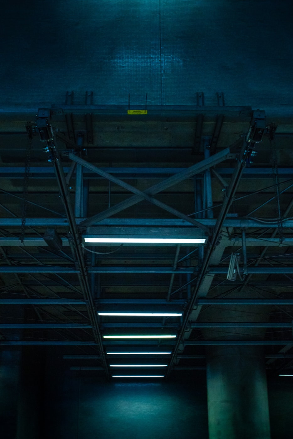 梦里开花 第2页