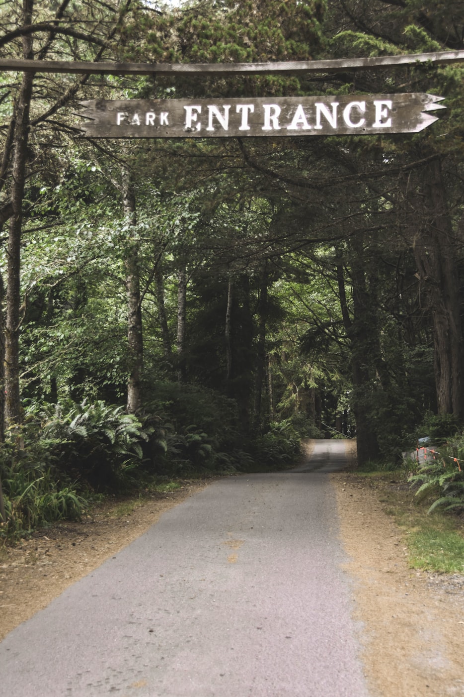 夜踏笙歌 第2页