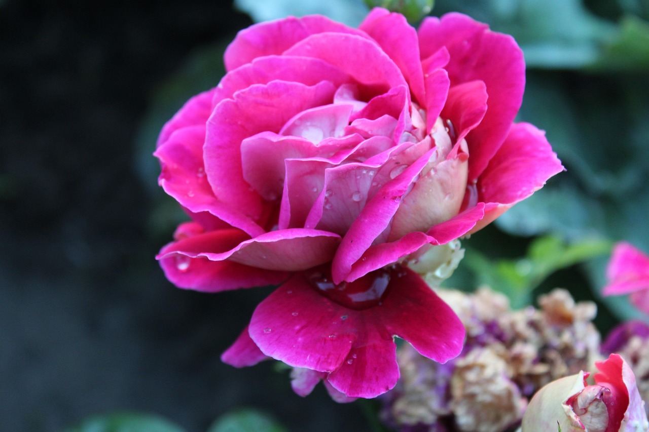 宁阳最新资讯概览，最新动态一网打尽