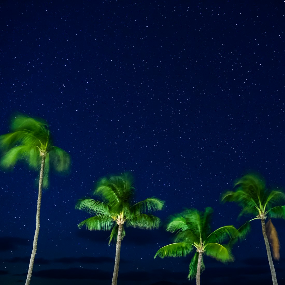 动漫唯美图片，艺术之美与情感交融的探索