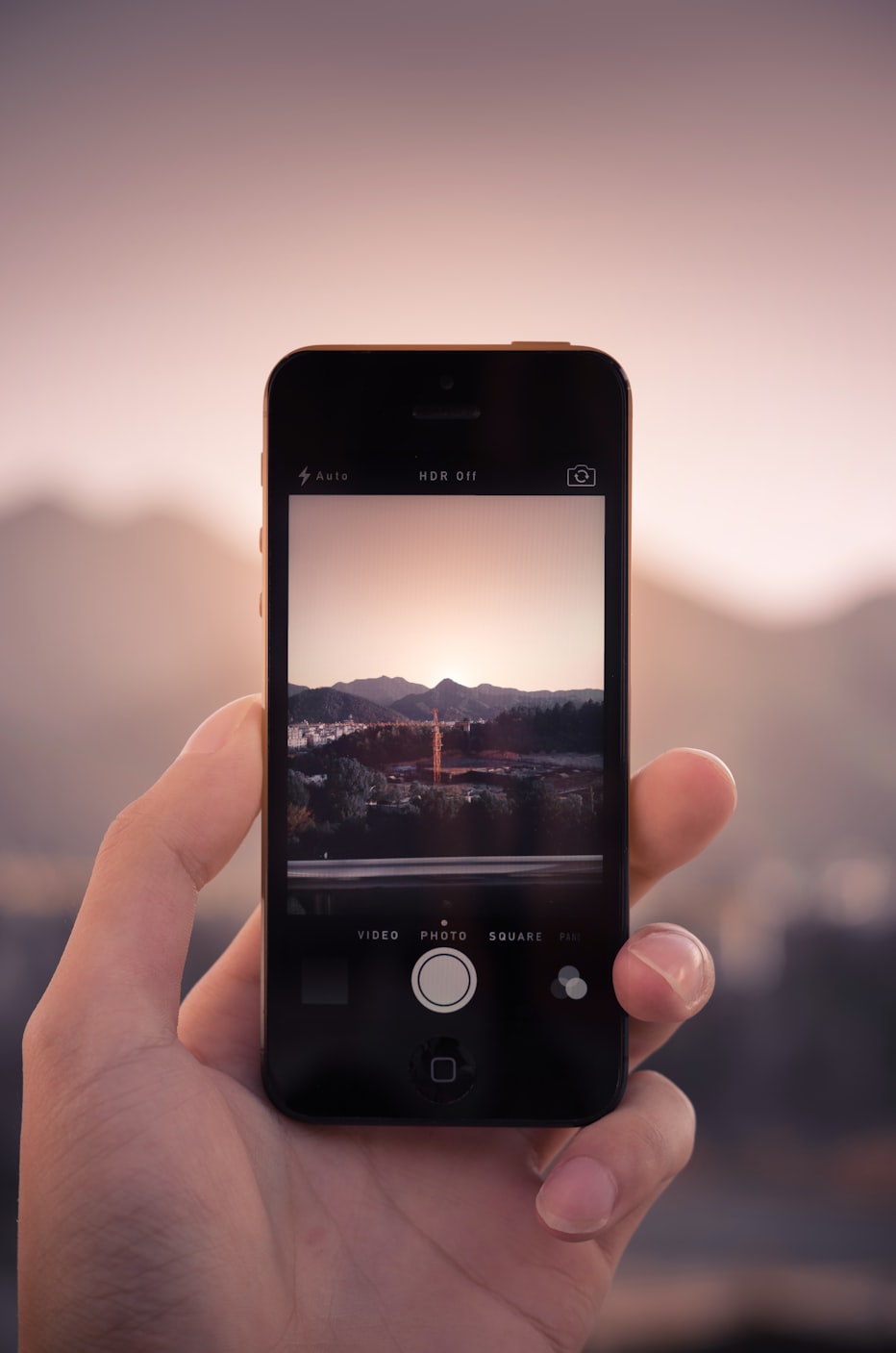 恰樱花少年 第2页