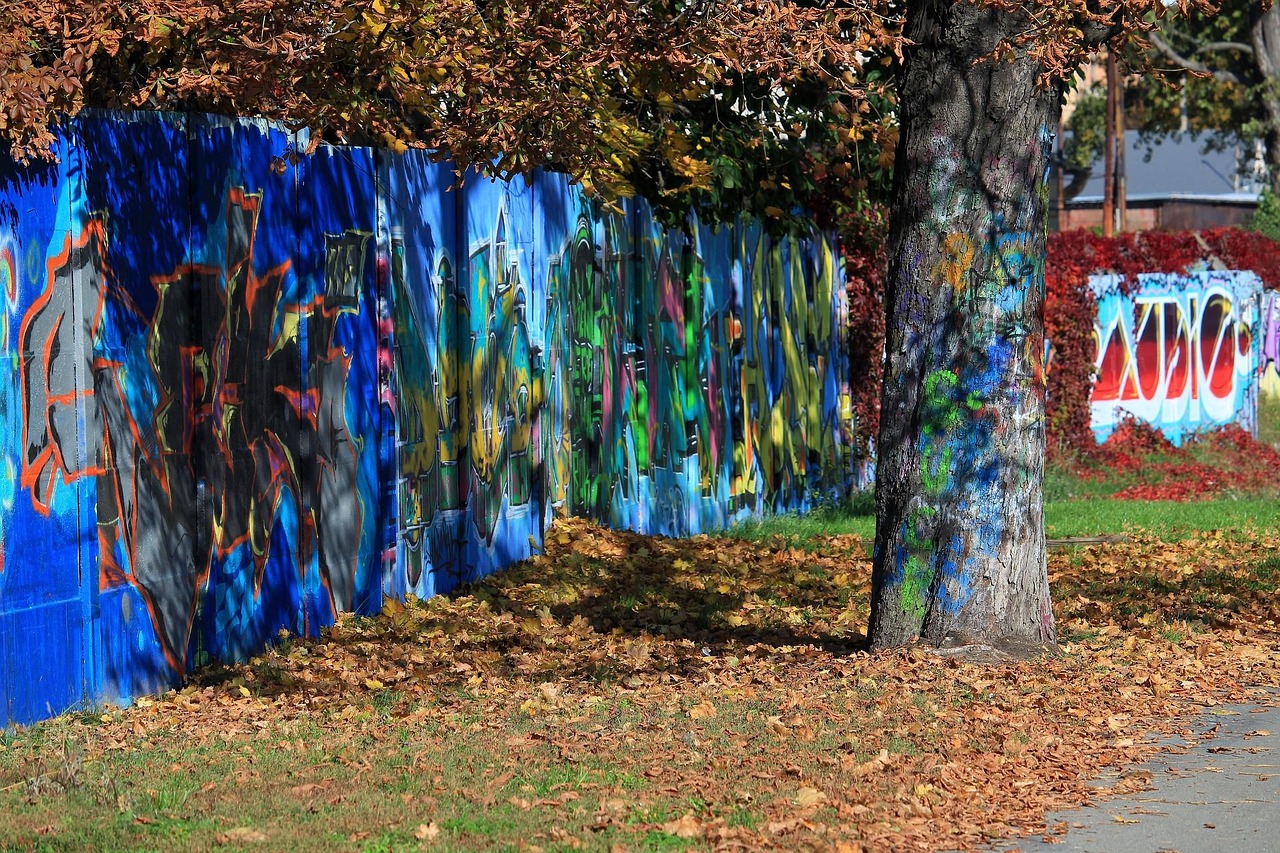 最新燕子舞，自然之美与文化魅力的完美融合