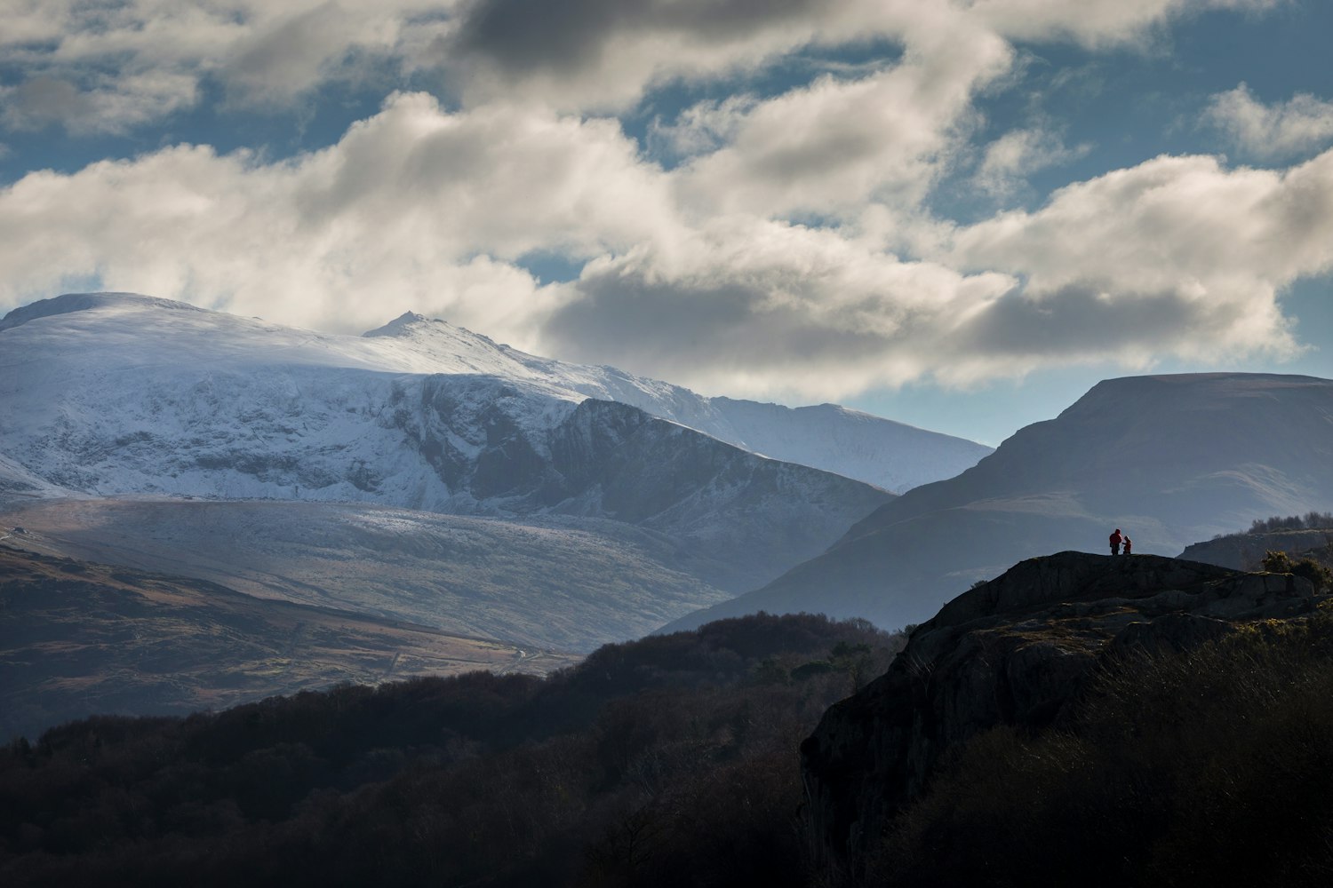 全球移民最新动态，趋势与影响深度分析