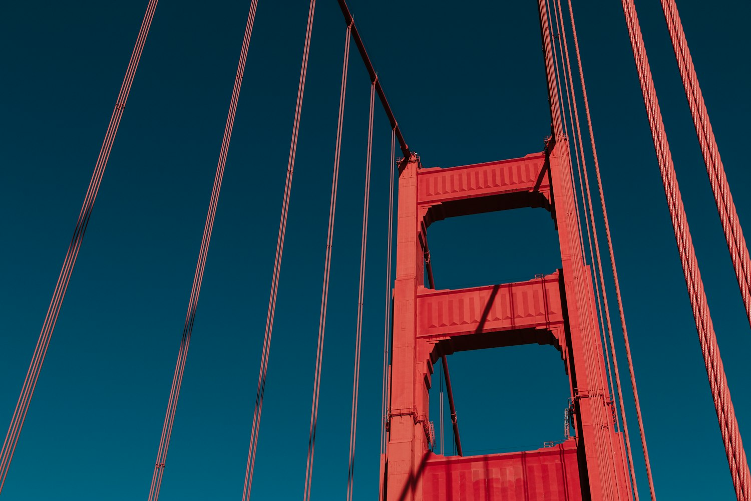 梁嘉庚新动态揭秘，探索未知，砥砺前行之路