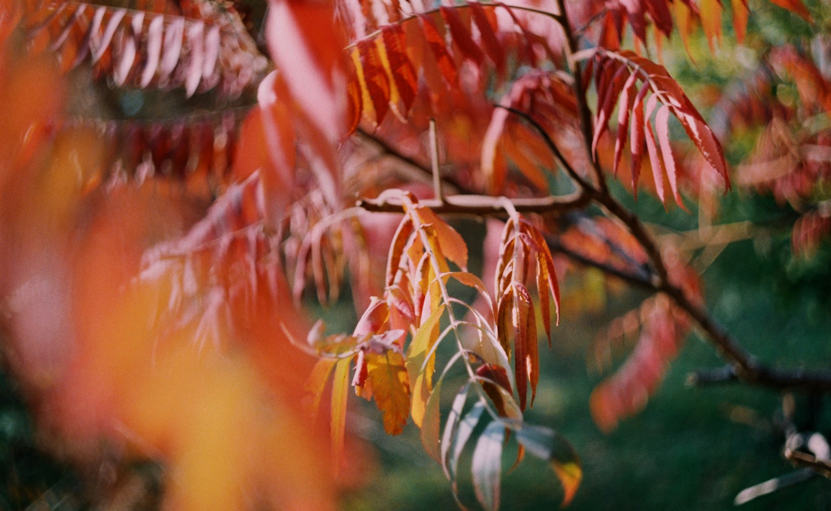 圣经电影，银幕上的神圣之旅探索