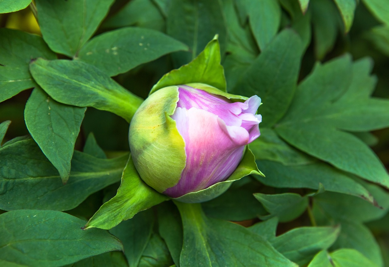 河畔俊园最新动态，未来繁华序幕正式拉开！