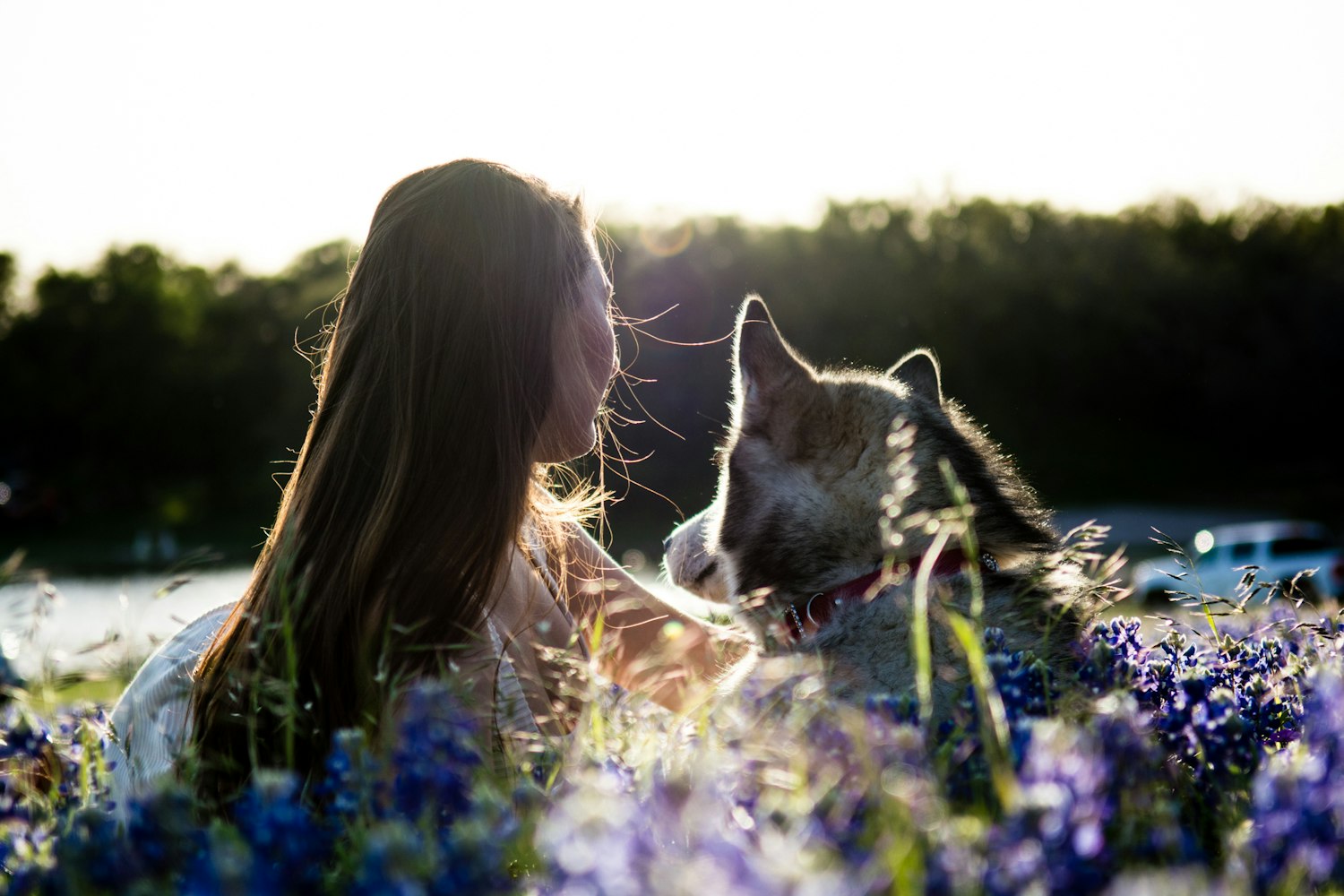 听风细雨 第2页