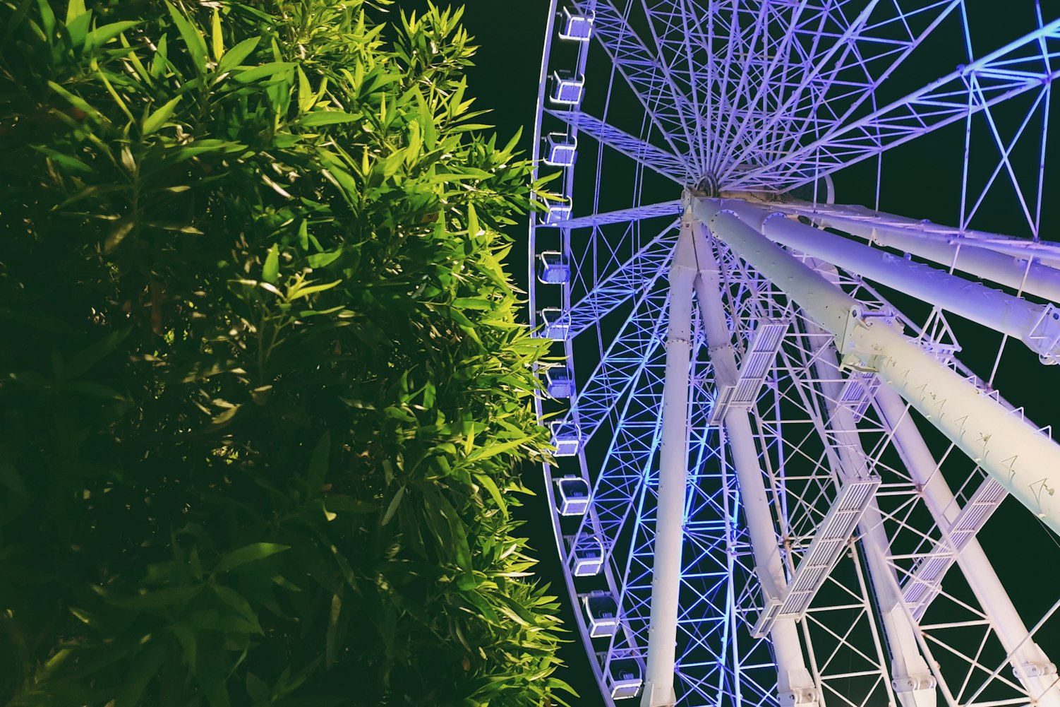 幼儿比赛游戏,寓教于乐,潜能激发的舞台