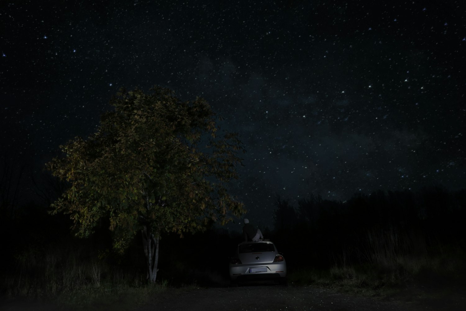 兰州汽车市场最新价格概览及市场动态分析