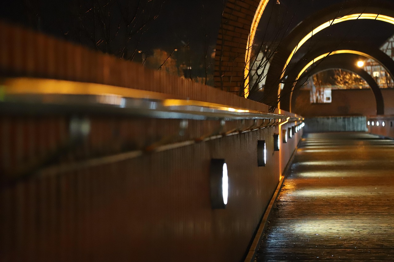 关于最新污网络的探讨与警示，网络污染的最新动态及其影响