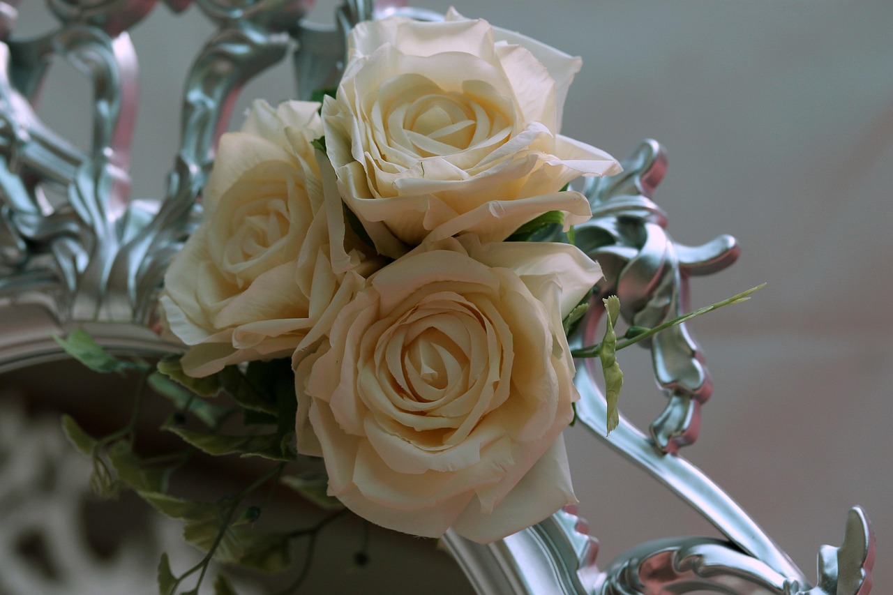 欧文动漫头像，魅力与深远影响