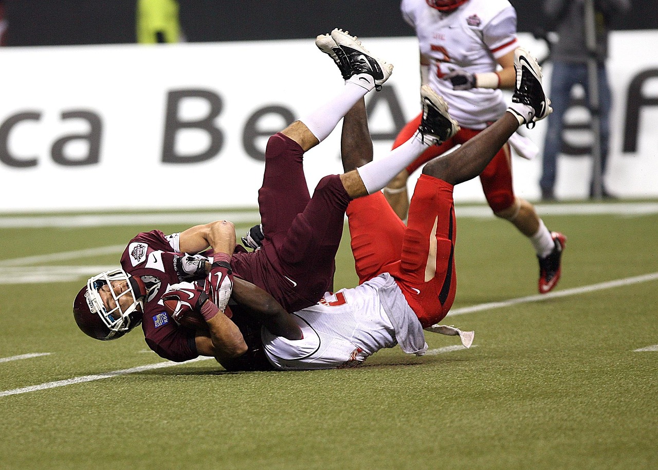 贵阳大学资讯全览，最新动态与概览