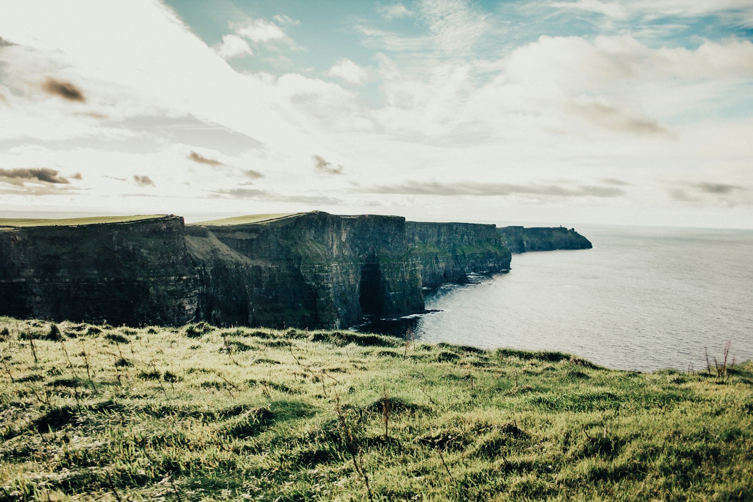 伸手党动态演变与挑战，探究一种社会现象的深度剖析