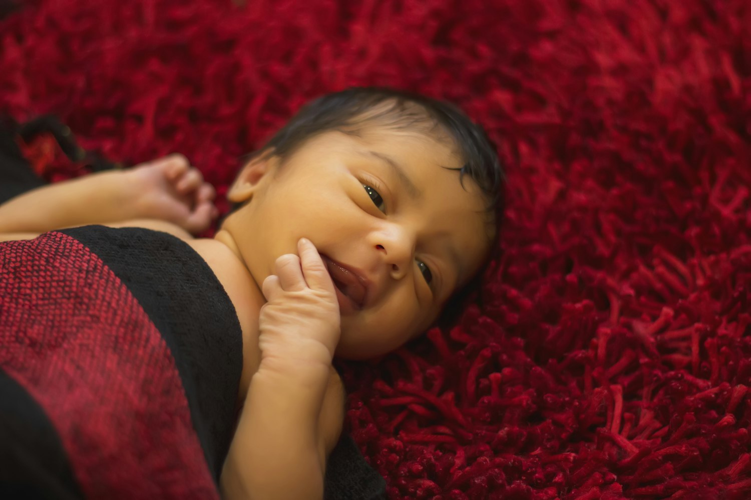 我和大明星的闪婚生活，甜蜜与挑战并存的日子